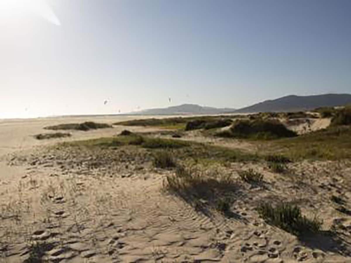 Tarifa II Convento 아파트 외부 사진